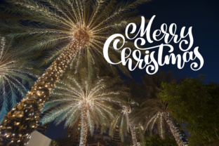 Christmas Palm: A Festive Holidays Graphic Design Asset